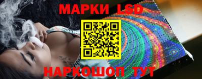 спиды Новодвинск