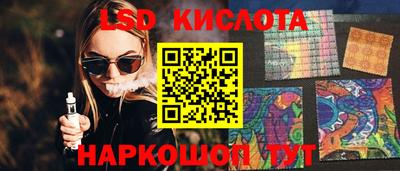 спиды Новодвинск