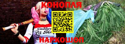 спиды Новодвинск