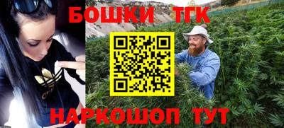 спиды Новодвинск