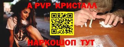 спиды Новодвинск