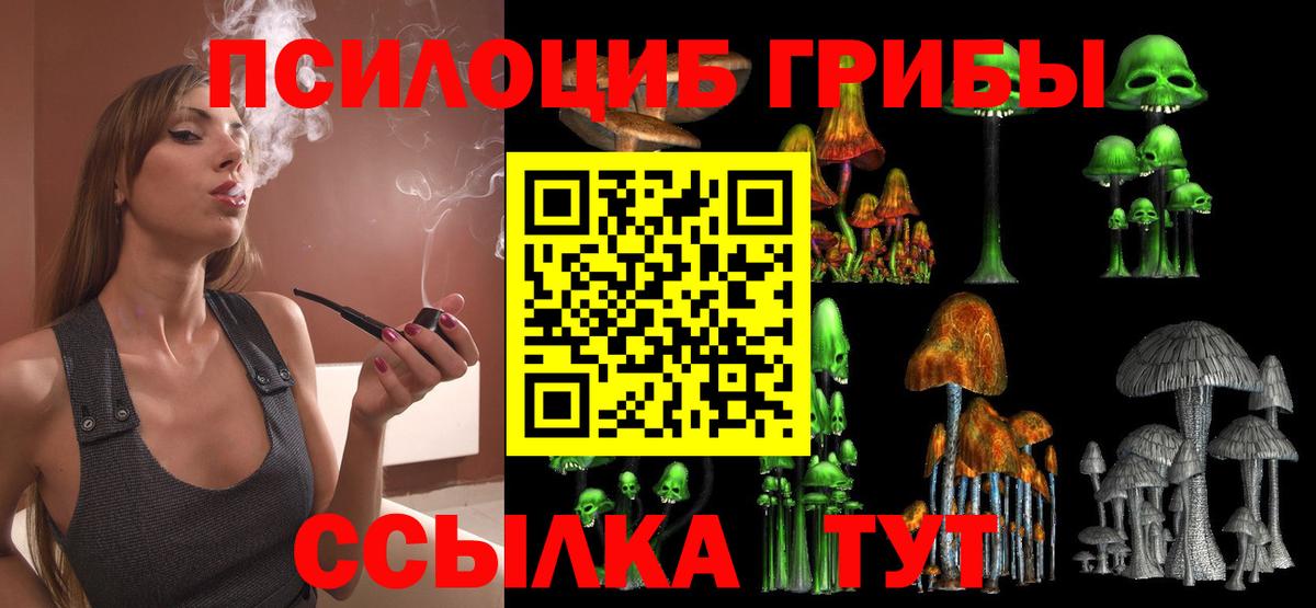 Усть-Джегута  Псилоцибиновые грибы мухоморы  закладки  Вход с VPN  Галлюциногенные грибы Magic Shrooms 